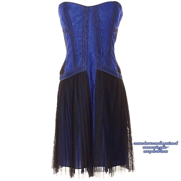 NWT $338 BCBGMAXAZRIA | Galia |  Strapless Fringe Hem Lace Corset Dress in Blue - Picture 2 of 16
